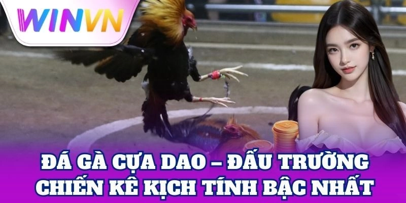 Đá Gà Cựa Dao WinVN | Bí Quyết Cược Thắng Lớn Cho Tân Thủ 1 Đá gà cựa dao – Đấu trường chiến kê kịch tính bậc nhất