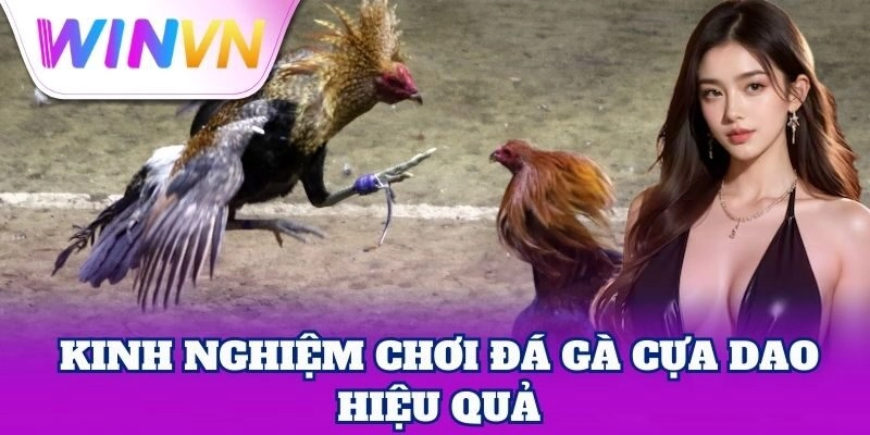 Đá Gà Cựa Dao WinVN | Bí Quyết Cược Thắng Lớn Cho Tân Thủ 3 Cách tham gia đá gà cựa dao an toàn, hợp lý