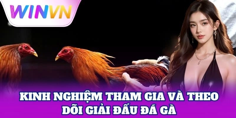 Giải Đấu Đá Gà WinVN – Sân Chơi Máu Lửa Cho Người Đam Mê 3 Mẹo quản lý vốn khi cá cược Giải Đấu Đá Gà
